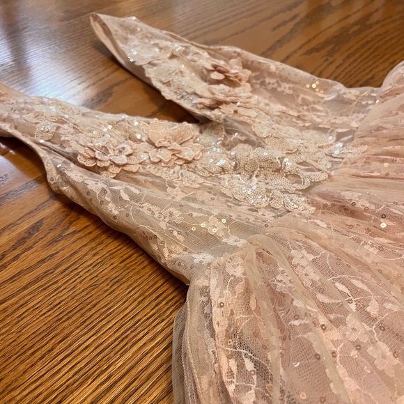 STUNNING Whimsical Flower Embellished Blush Pink Sparkly Lace Gown Dress - Picture 3 of 5